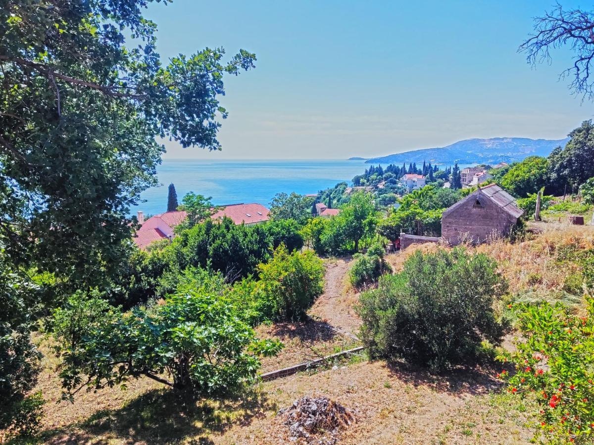 Dubrovnik Moonshine Apartment Mlini Bagian luar foto
