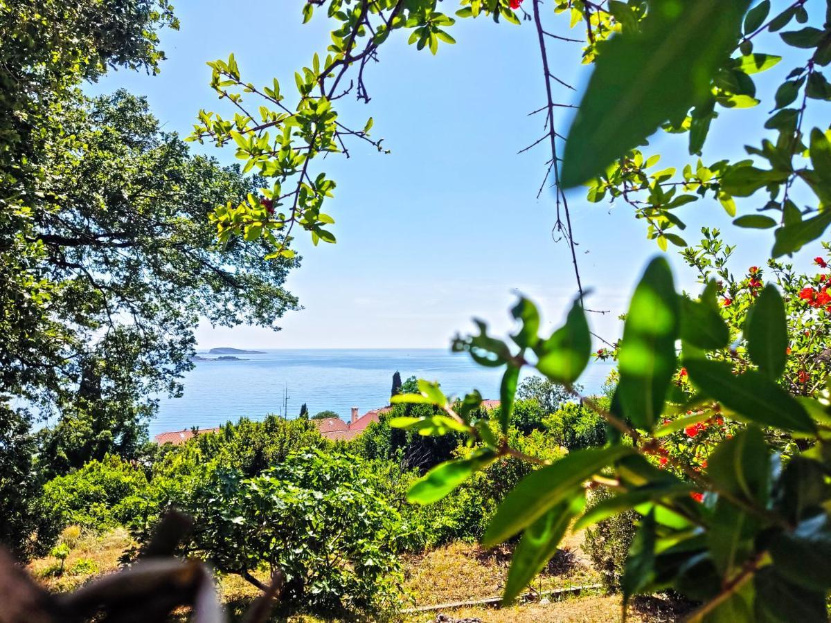 Dubrovnik Moonshine Apartment Mlini Bagian luar foto